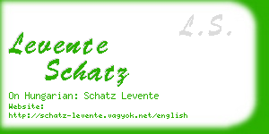 levente schatz business card